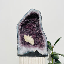 Load image into Gallery viewer, Amethyst Geode | 32.77kg
