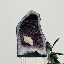 Load image into Gallery viewer, Amethyst Geode | 32.77kg
