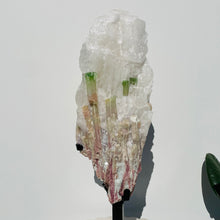 Load image into Gallery viewer, Watermelon Tourmaline Matrix | Gallery Piece 9.6kg
