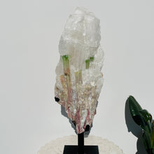 Load image into Gallery viewer, Watermelon Tourmaline Matrix | Gallery Piece 9.6kg
