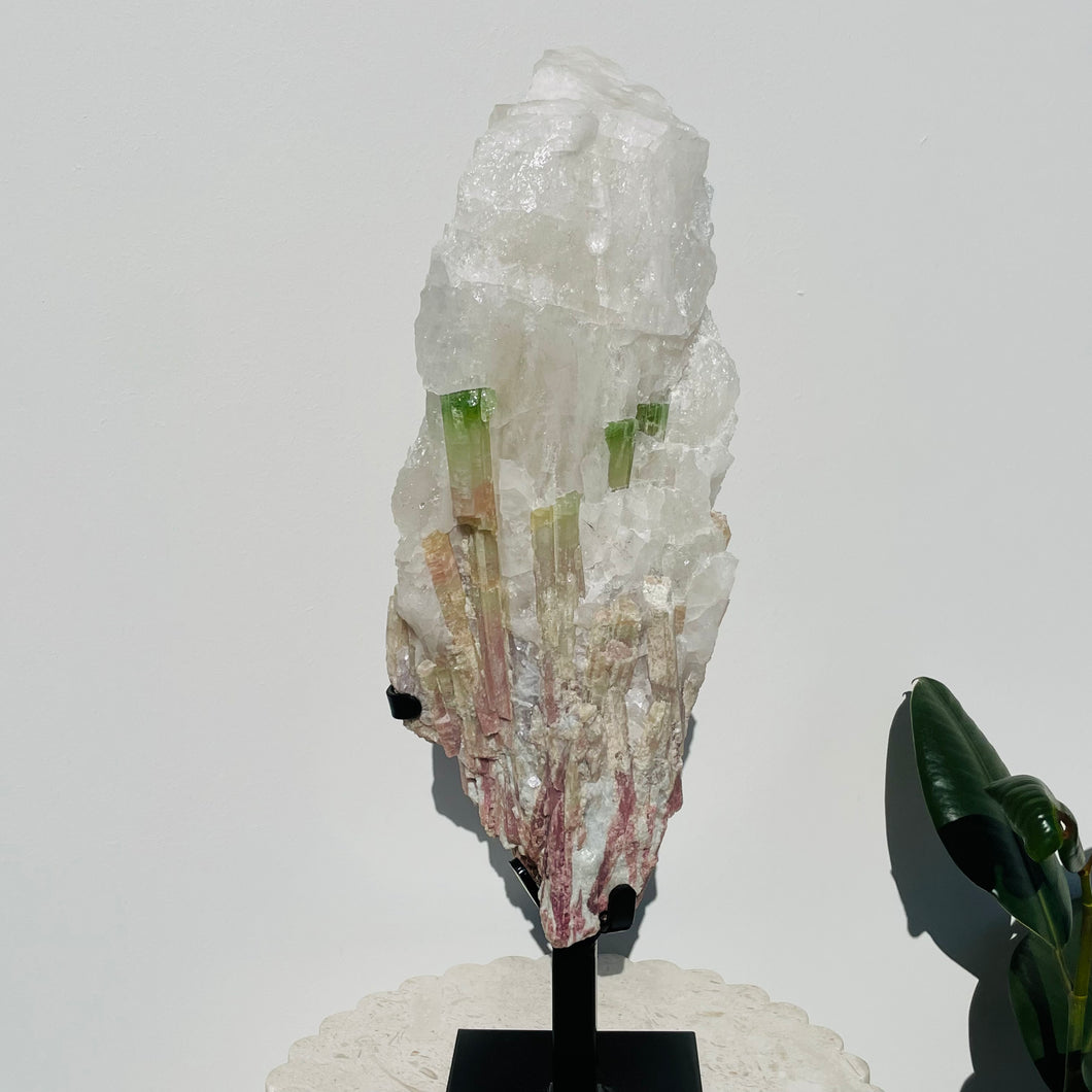 Watermelon Tourmaline Matrix | Gallery Piece 9.6kg