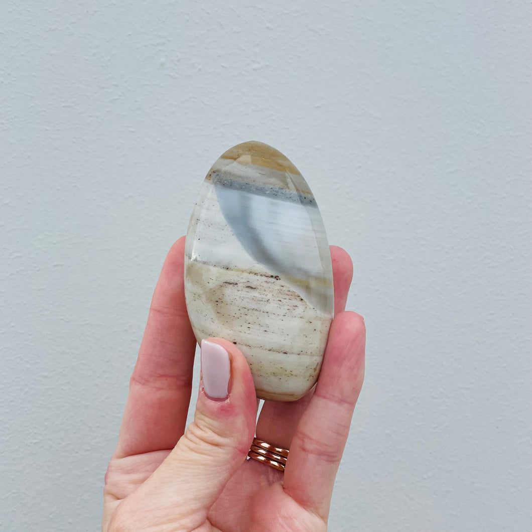 Ocean Jasper Palmstone 07